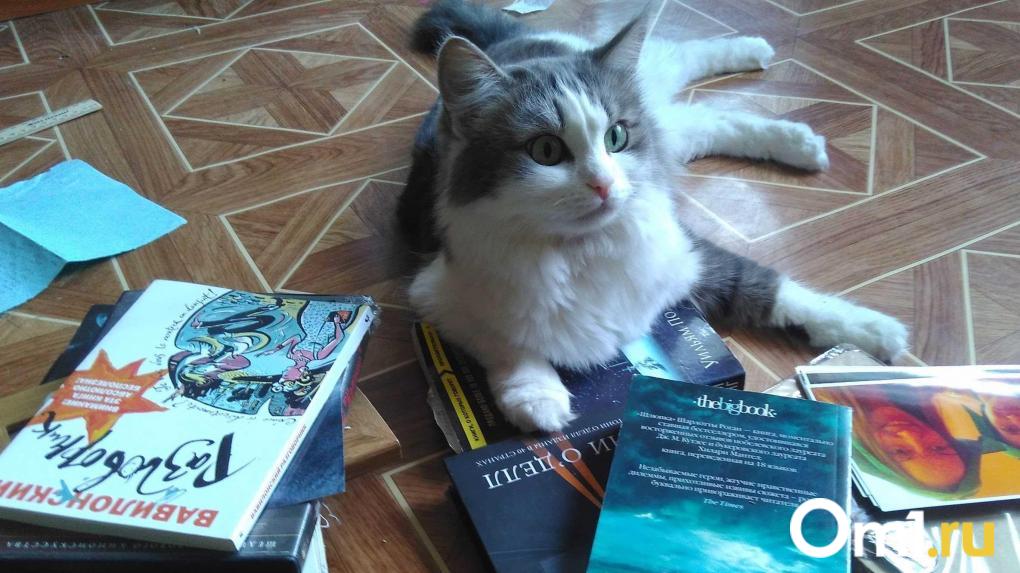 Магазины Центр-книга продолжают закрываться в Омске: новый филиал в Метромолле завершает свою работу