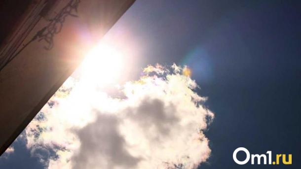 Синоптики сообщили о значительном потеплении в Омской области