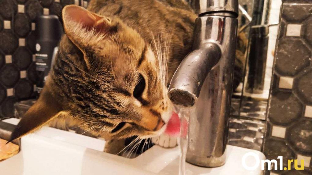 Омичи с Левого берега останутся без холодной воды