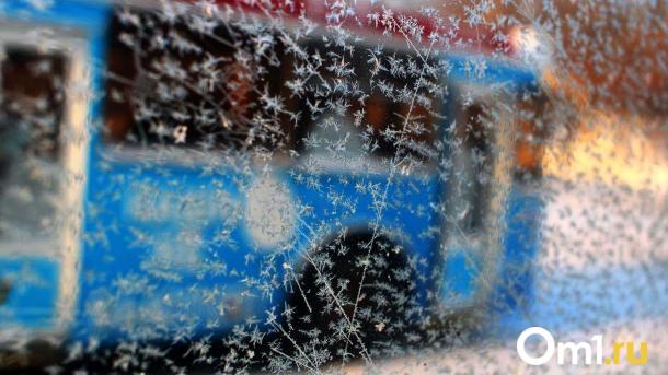 В Омске ударят жёсткие морозы: синоптики изменили дату наступления похолодания