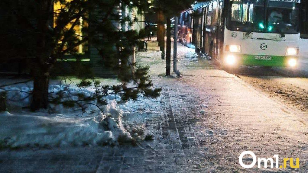 Омской области пообещали 900 миллионов на обновление общественного транспорта