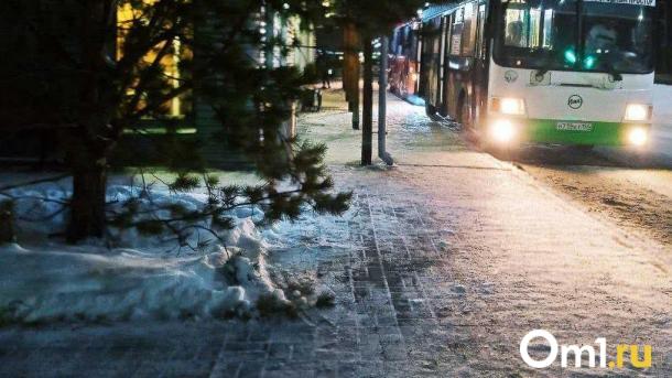Омской области пообещали 900 миллионов на обновление общественного транспорта