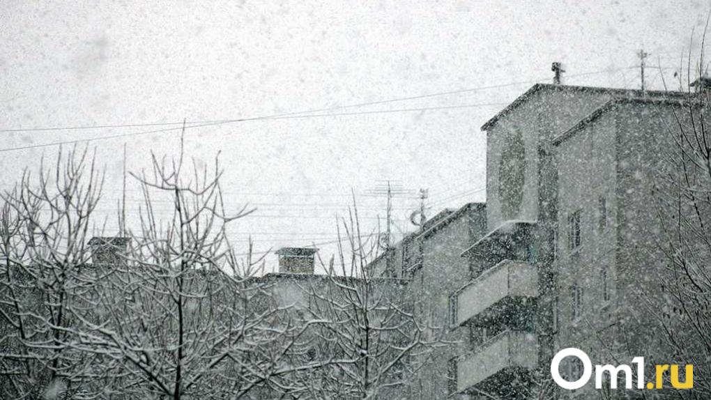 Омичей ждёт серия мощных снегопадов: прогноз на ближайшие дни