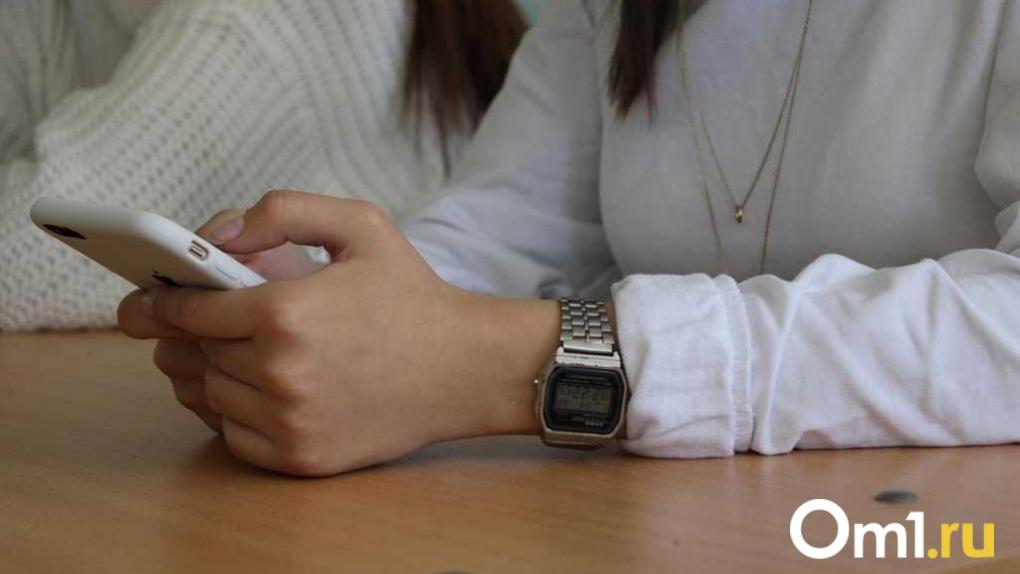 Омичей напугали полным отключением интернета из-за использования одной программы