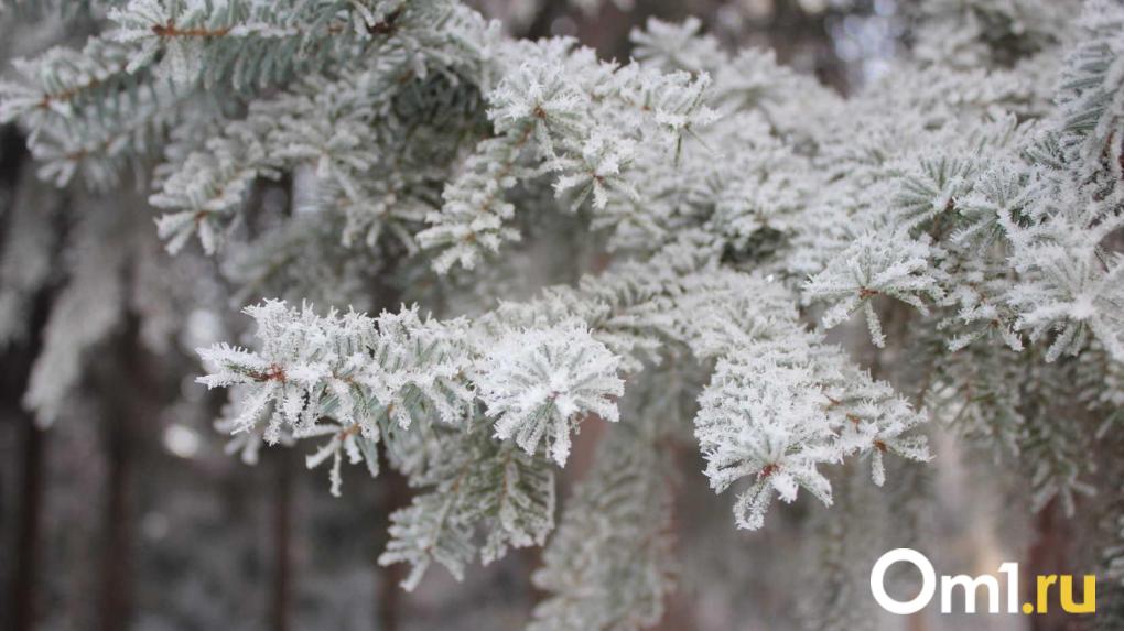 Погода готовит сюрприз: что произойдёт в Новосибирске 4 декабря?