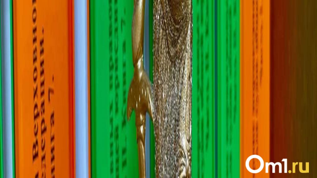 Жительницу Новосибирска поймали на контрабанде камней