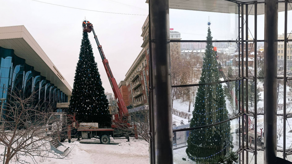 18-метровая ёлка впервые украсила территорию возле Зала имени Каца в Новосибирске