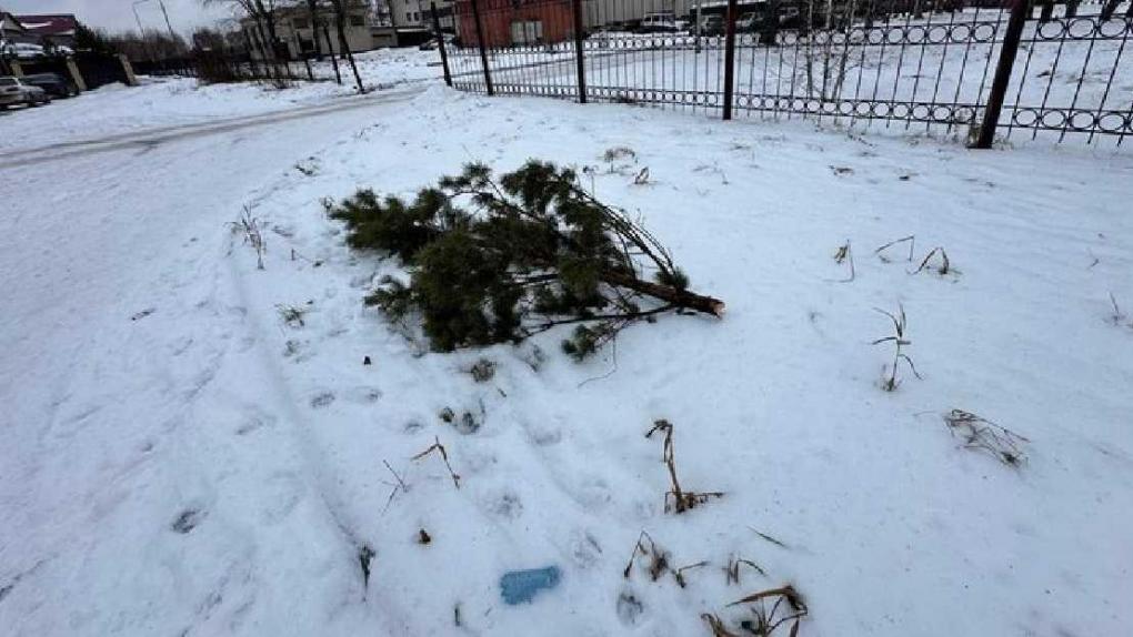 Полиция нашла омича, сломавшего ёлку. Он просто хотел покататься с горки