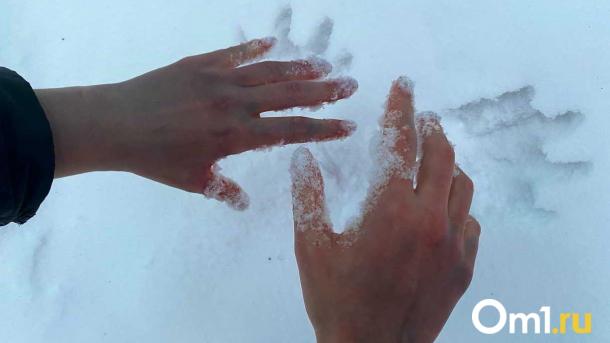 К Омской области приближаются суровые морозы: когда похолодает до -30 градусов?