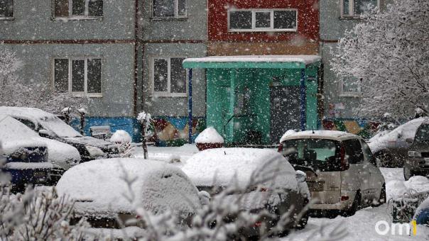Морозы и снежные заносы: Омскую область накроет мощная зимняя буря