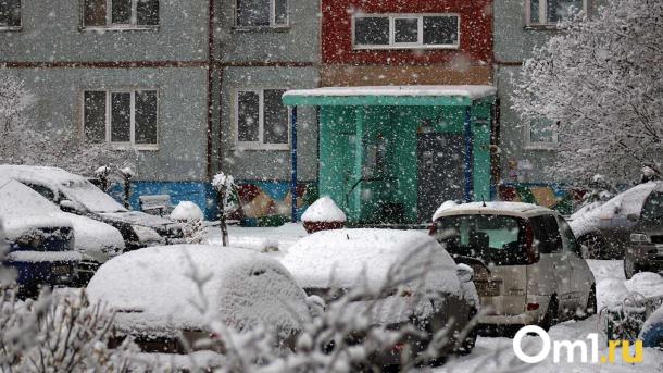 Морозы и снежные заносы: Омскую область накроет мощная зимняя буря