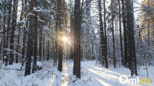 Специалисты опубликовали прогноз магнитных бурь на декабрь