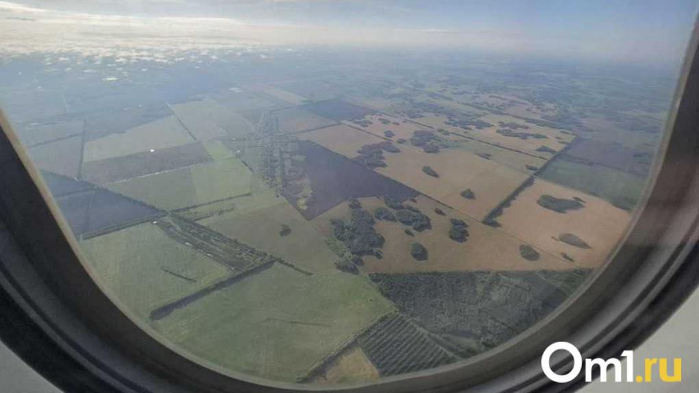 Дело пилота «Уральских авиалиний», посадившего самолёт в поле: подробности судебного разбирательства