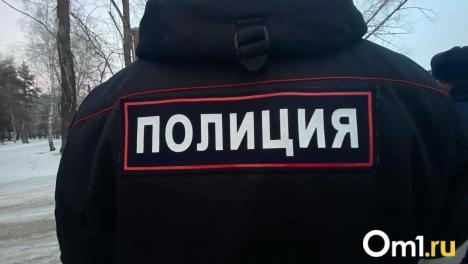 Вредная привычка: омич оскорбил полицейского, а через полгода ещё раз