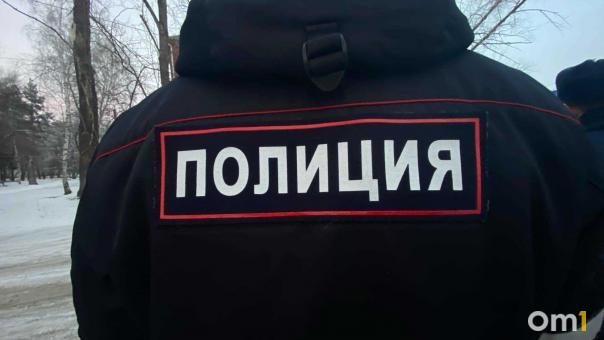 Вредная привычка: омич оскорбил полицейского, а через полгода ещё раз