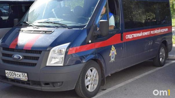 Бастрыкин потребовал доклад по делу о травме омича, который провалился в яму