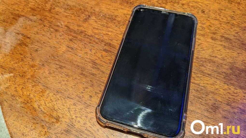 Омский машинист перевёл мошенникам 3,4 млн рублей после обещаний заработка