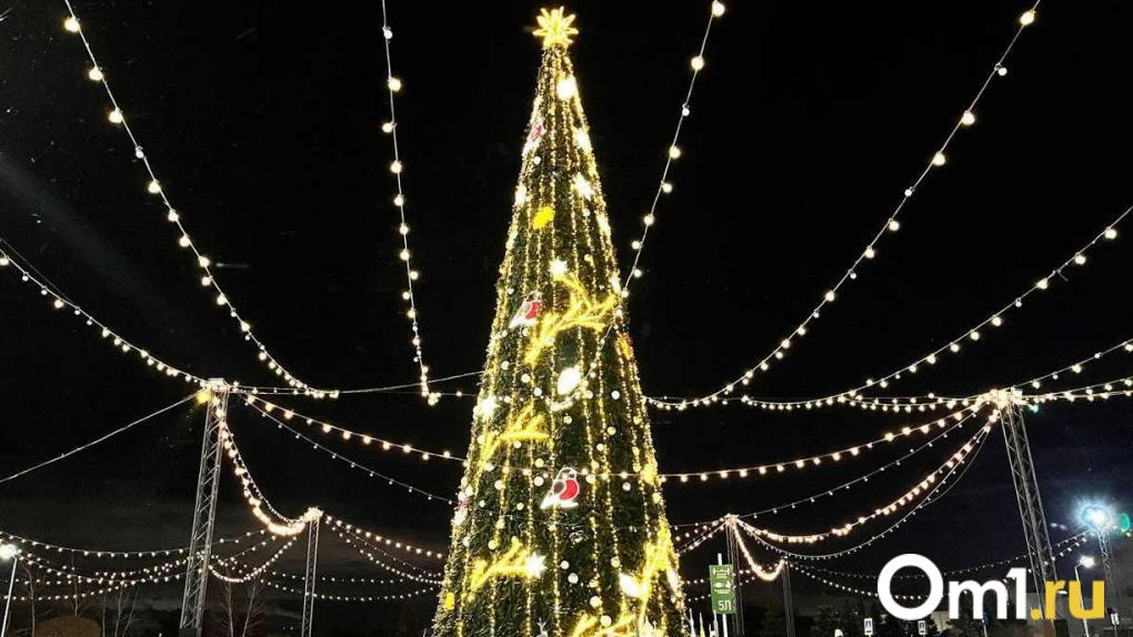 На новогодних праздниках в Омске запретят алкоголь и энергетики