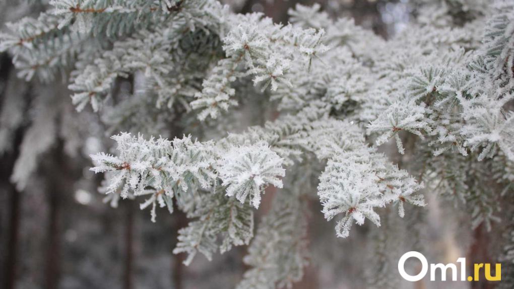 Морозы отступают: какая погода ждёт Новосибирск на этой неделе?