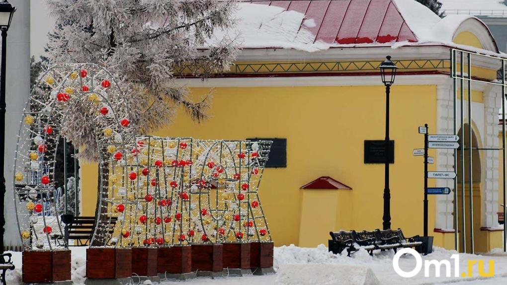 Снегопады до Нового года: какой будет погода в Омске до конца декабря?