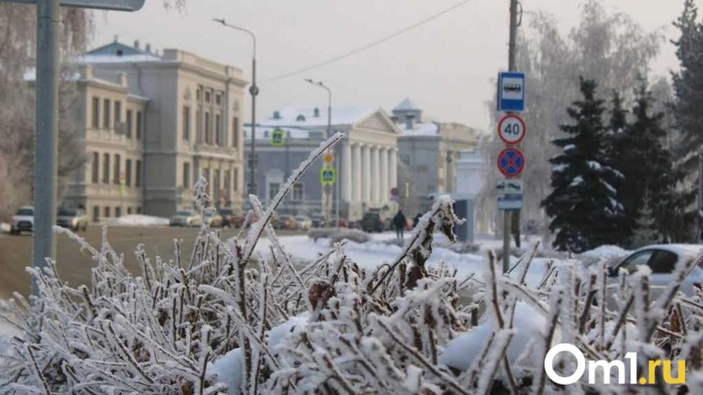 В Омской области ожидается похолодание до -38 °C: прогноз на ближайшие дни