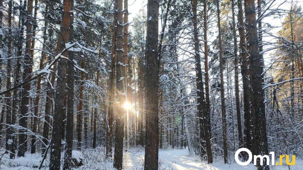 Новосибирцев предупредили о мощном похолодании до –35 градусов