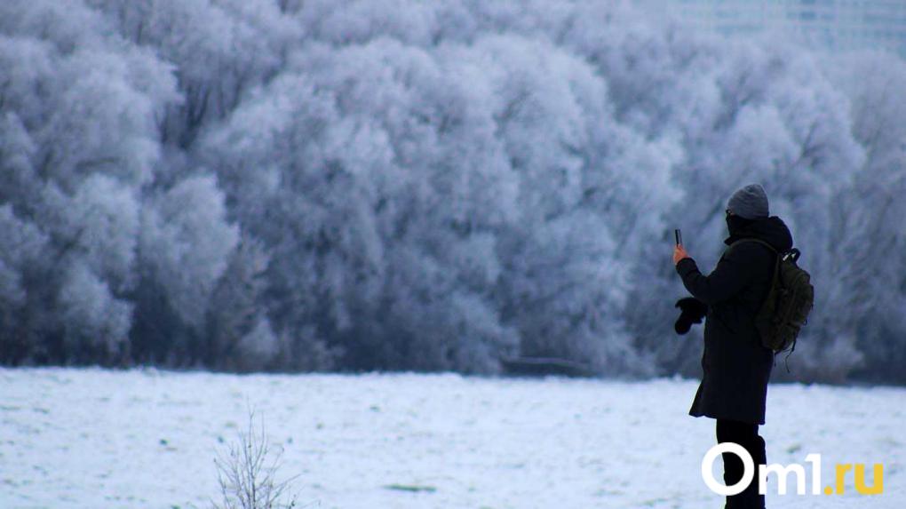 В Омской области температура опустилась до -38: когда отступят морозы?
