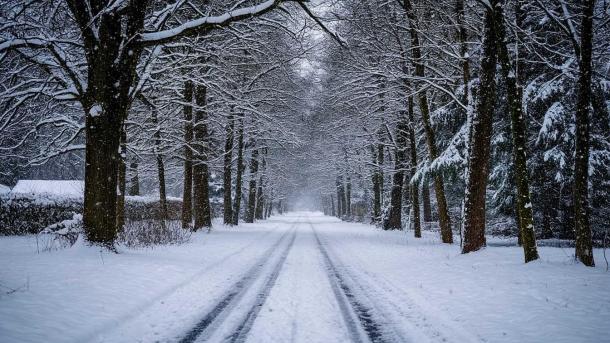 Снег в Москве во вторник: сутки белого покрова, затем дождь
