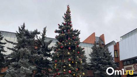Космическая, с лошадкой и звёздами: видеообзор новогодних ёлок в Омске