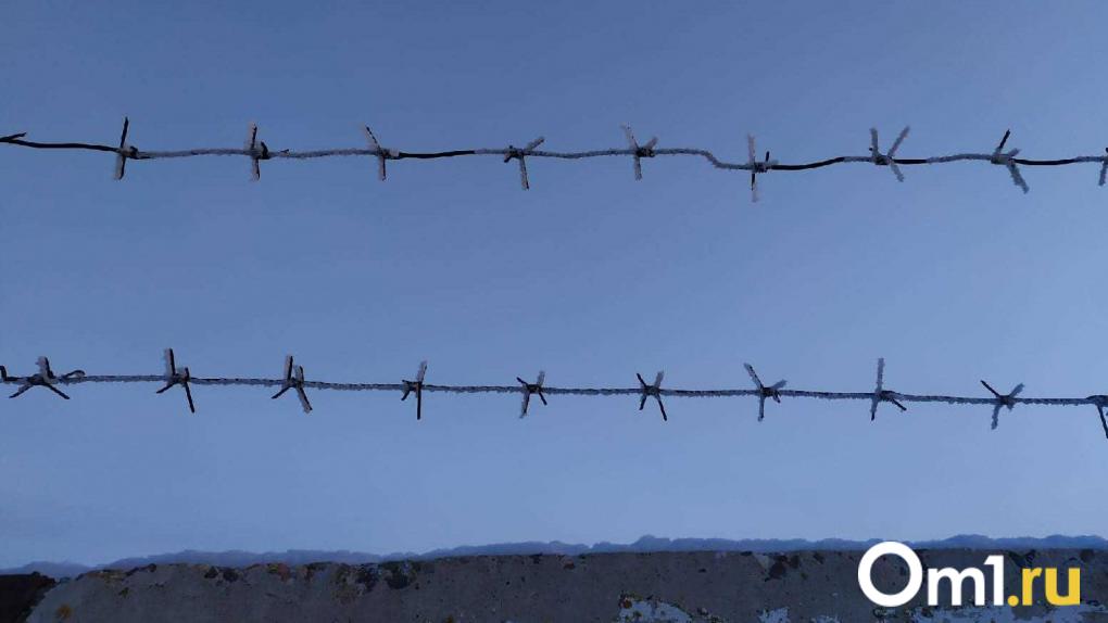 В Омской области пограничник прыгнул на капот автомобиля, чтобы остановить нарушителя