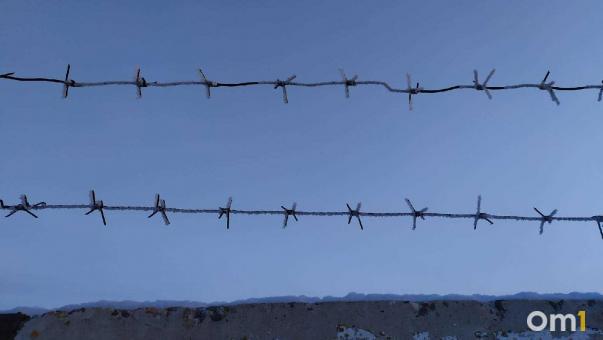 В Омской области пограничник прыгнул на капот автомобиля, чтобы остановить нарушителя