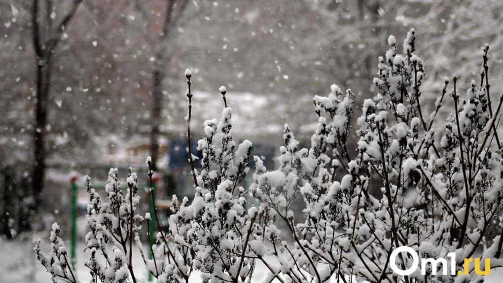 Мощный снегопад приближается к Омской области