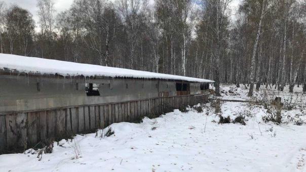 Прокуратура снеcла незаконную ферму в лесах Новосибирской области