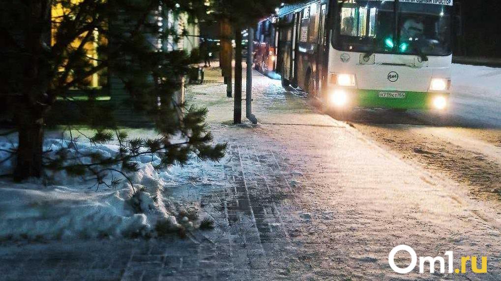 В Омске водитель автобуса высадил школьника на мороз из-за проблемы с оплатой проезда