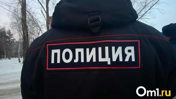 Пожилой омич убил соседа из-за его внешнего вида