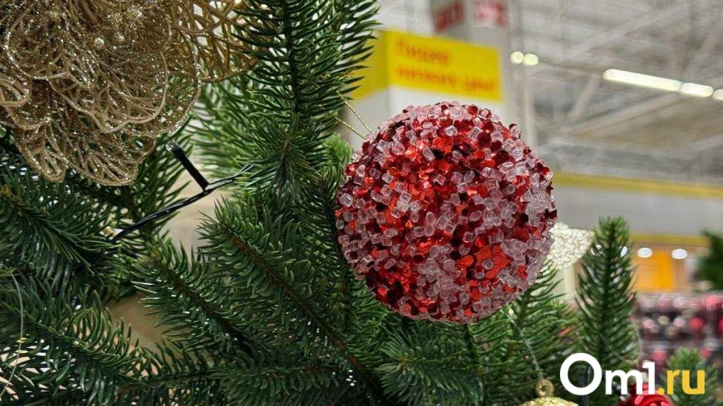 Омичам назвали самые выгодные направления для новогодних поездок по России