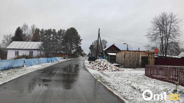 Омичку, оставившую садоводов без электричества и товарищества, осудили