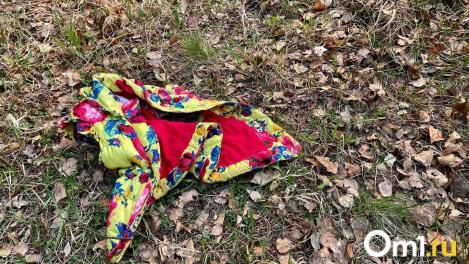 В Омске поймали мужчину, который шантажировал школьниц и совершал с ними непотребное