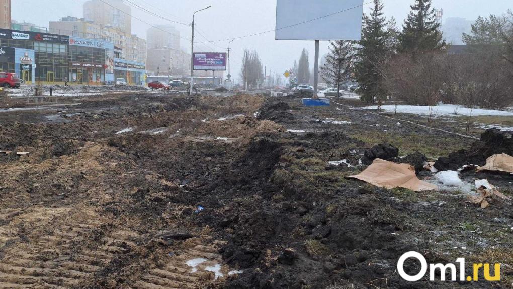 В Омске поддержали проект строительства отеля на 3-й Островской