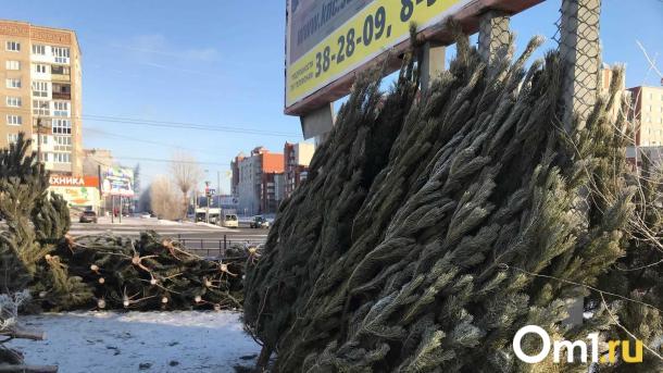 Похититель Рождества: под Омском поймали машину с сотнями нелегальных сосен