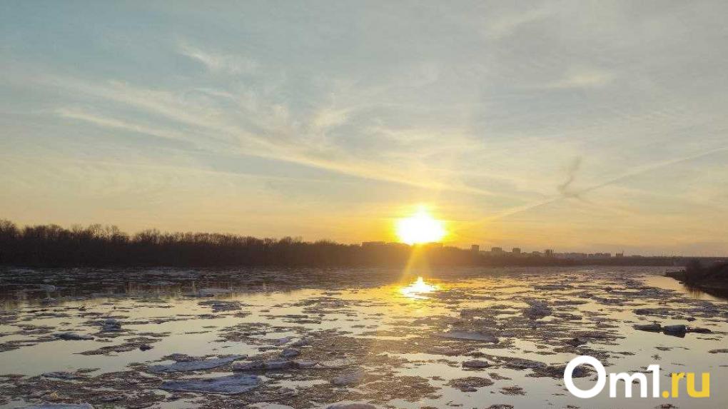 Всего в двух округах Омска нашли чистый воздух