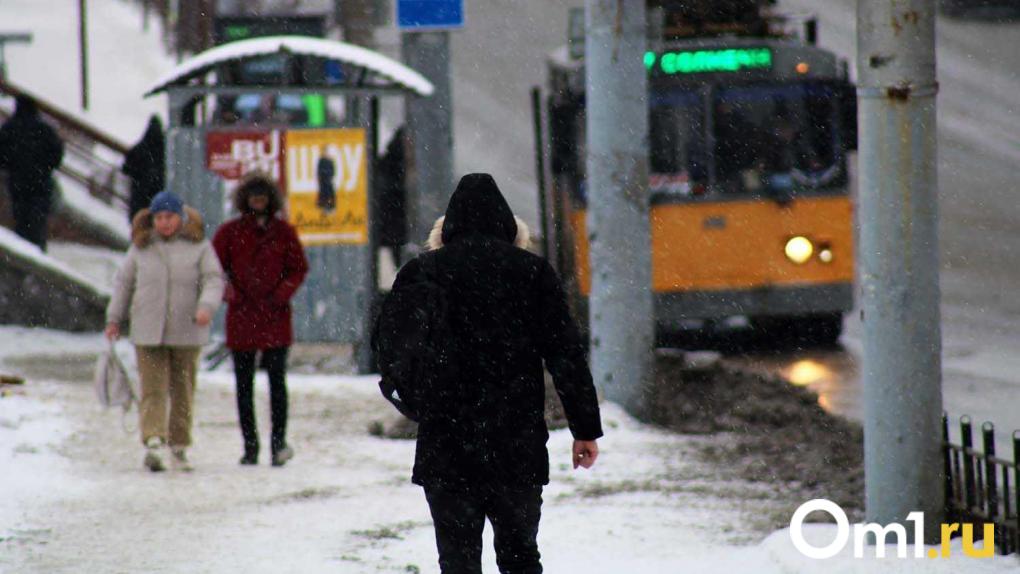 В Омске две недели не могут найти женщину в розовой куртке