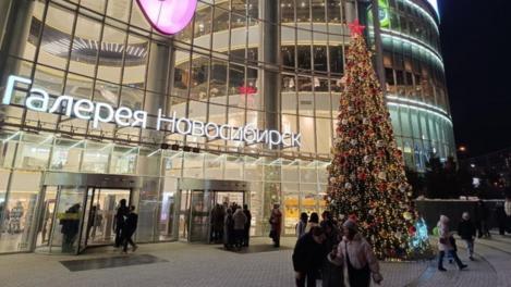 За новогоднюю пихту новосибирцы в среднем платят 4 000 рублей