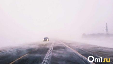 Метель и сильный ветер: омичей предупредили об ухудшении погоды