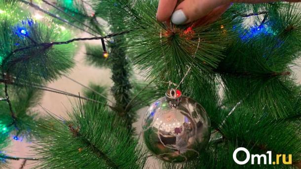 Опасные новогодние украшения: что запрещено ставить в подъездах Новосибирска?