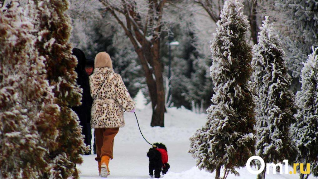 Снега будет ещё больше: синоптики дали пугающий прогноз на погоду в Омске