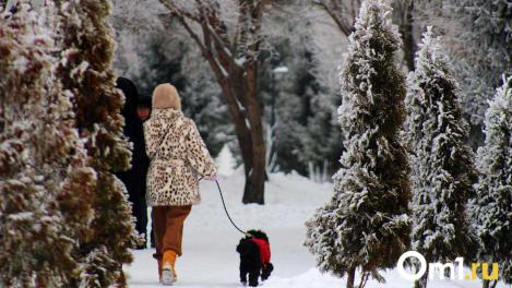 Снега будет ещё больше: синоптики дали пугающий прогноз на погоду в Омске
