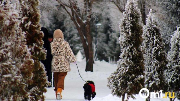 Снега будет ещё больше: синоптики дали пугающий прогноз на погоду в Омске