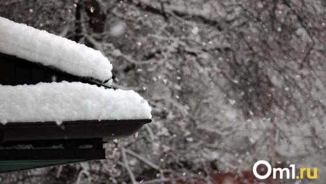 Омск в снежной ловушке: синоптики прогнозируют обильные снегопады до конца недели