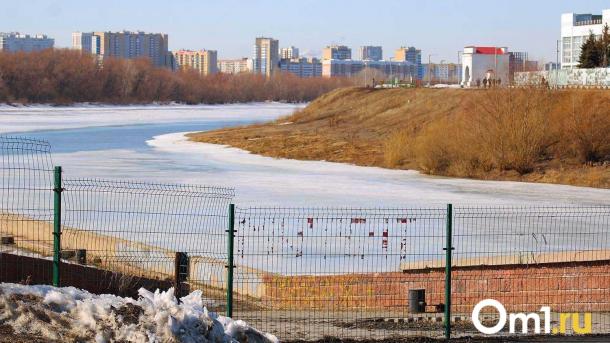 Власти создали организацию к 400-летию Омска